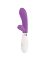 GLOSSY - JACKSON RABBIT