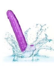 CALEXOTICS - SIZE QUEEN DILDO 25.5 CM