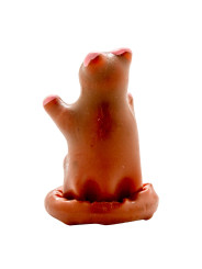 CONDOMERIE - PRESERVATIVO DECORATIVO PINTADO A MANO OSO DE PELUCHE