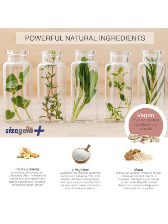 SizeGain Plus: complemento alimenticio para el pene