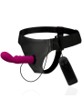 HARNESS ATTRACTION - ARNÉS WALTER CON VIBRACIÓN 15.5 CM -O- 3.7 CM