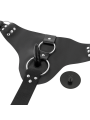 HARNESS ATTRACTION - ARNÉS MURDOCK 19.8 + 15 CM -O- 4 CM