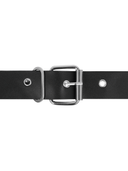 HARNESS ATTRACTION - ARNÉS MURDOCK 19.8 + 15 CM -O- 4 CM