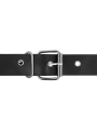 HARNESS ATTRACTION - ARNÉS MURDOCK 19.8 + 15 CM -O- 4 CM