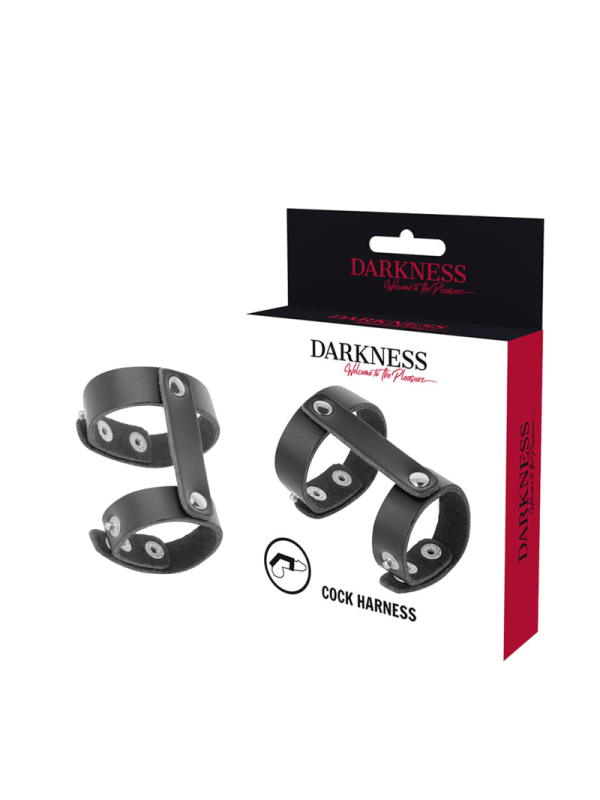 DARKNESS - ANILLO PENE Y TESTÍCULOS AJUSTABLE LEATHER