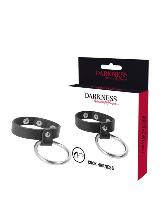 DARKNESS - ANILLO DE METAL PARA EL PENE Y TESTÍCULOS