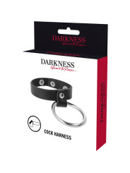 DARKNESS - ANILLO DE METAL PARA EL PENE Y TESTÍCULOS