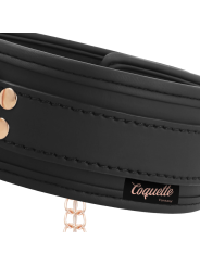COQUETTE CHIC DESIRE - FANTASY COLLAR CON PINZAS PEZONES CON FORRO DE NEOPRENO