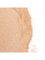 SECRETPLAY - GOLDEN LIGHT KIT POLVOS COMESTIBLES Y PLUMA CHOCOLATE AFRODISIACO