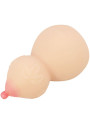 CRAZY BULL - CALABASH MASTUBADOR EN FORMA DE PECHO