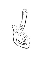ROMP - HYPE VIBRADOR PUNTO G MULTIFUNCIÓN ROJO