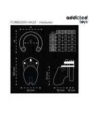 ADDICTED TOYS LOCKED - FORBIDDEN VAULT JAULA PARA PENE 10 CM