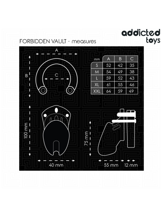 ADDICTED TOYS LOCKED - FORBIDDEN VAULT JAULA PARA PENE 10 CM