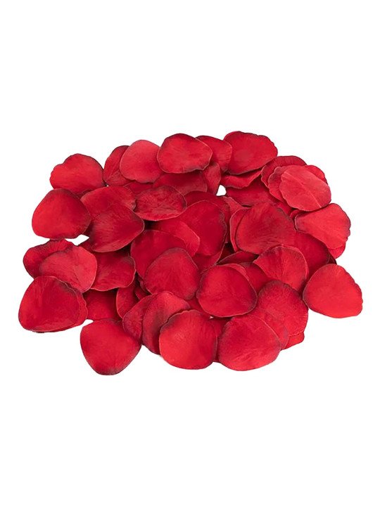 Juego Erótico Dream Toys