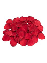 Juego Erótico Dream Toys