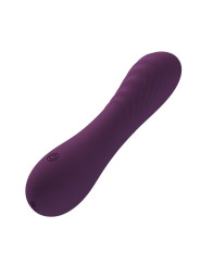 PRETTY LOVE - ALEXISROSE VIBRADOR RECARGABLE 10 FUNCIONES MORADO