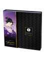 Shunga - Kit Geisha Naughty