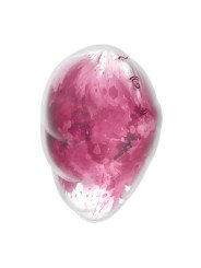 Succionador de Clítoris Satisfyer Cloud Dancer Rojo