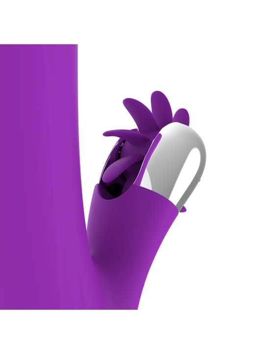 Fun Function - Bunny Funny Rotation 2.0