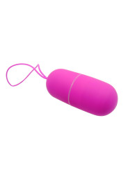 Pretty Love - Huevo Vibrador Arvin Control Remoto 12 v