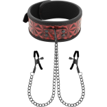 Amarres y cuerdas bondage — shibari y ataduras | Evolsex